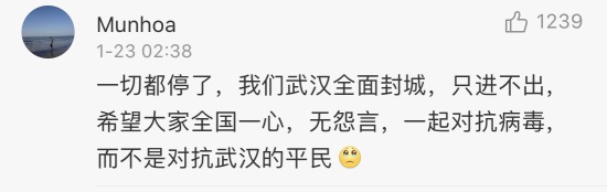就在武汉封城前夜29.9万人逃离武汉奔向各地