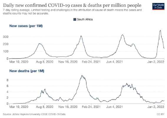 南非的 28 天平均病死率