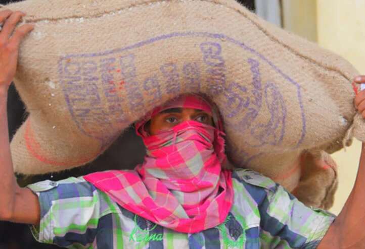 印度国内面粉的价格涨到了近10年最高