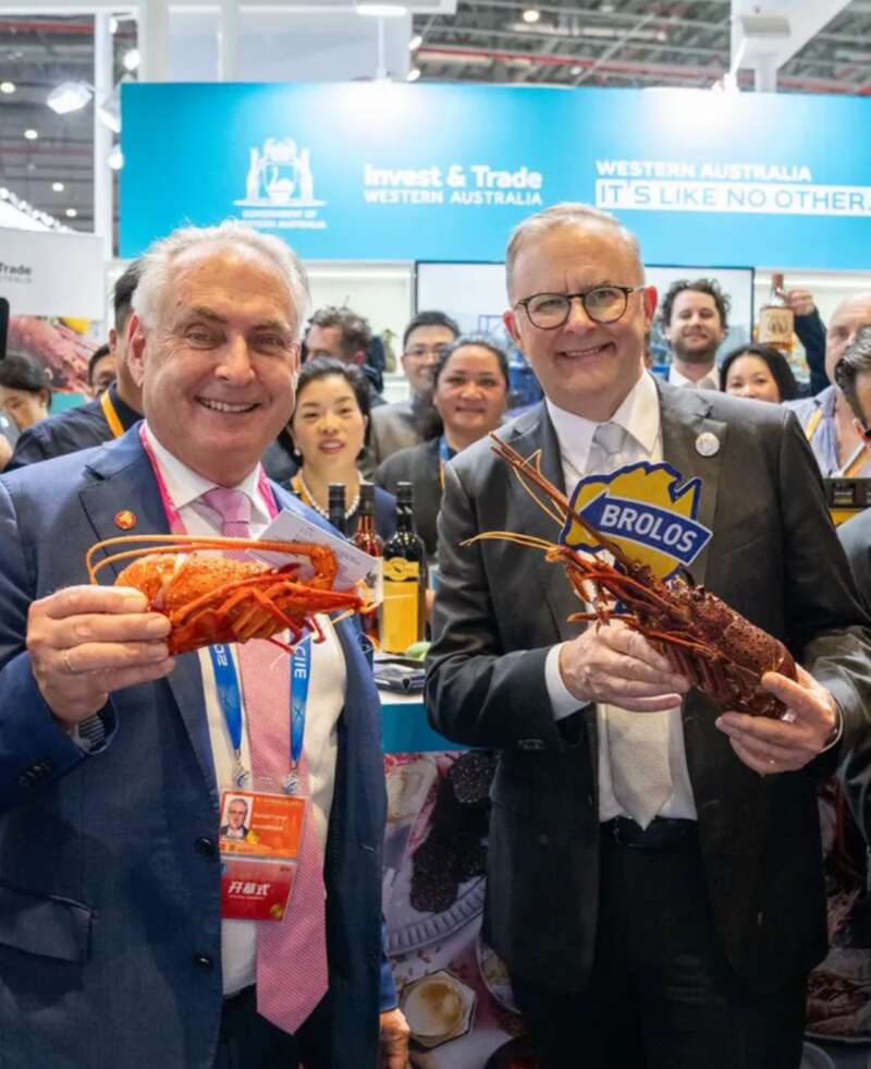 澳总理阿尔巴尼斯参观进博会时，举起澳产龙虾的一幕